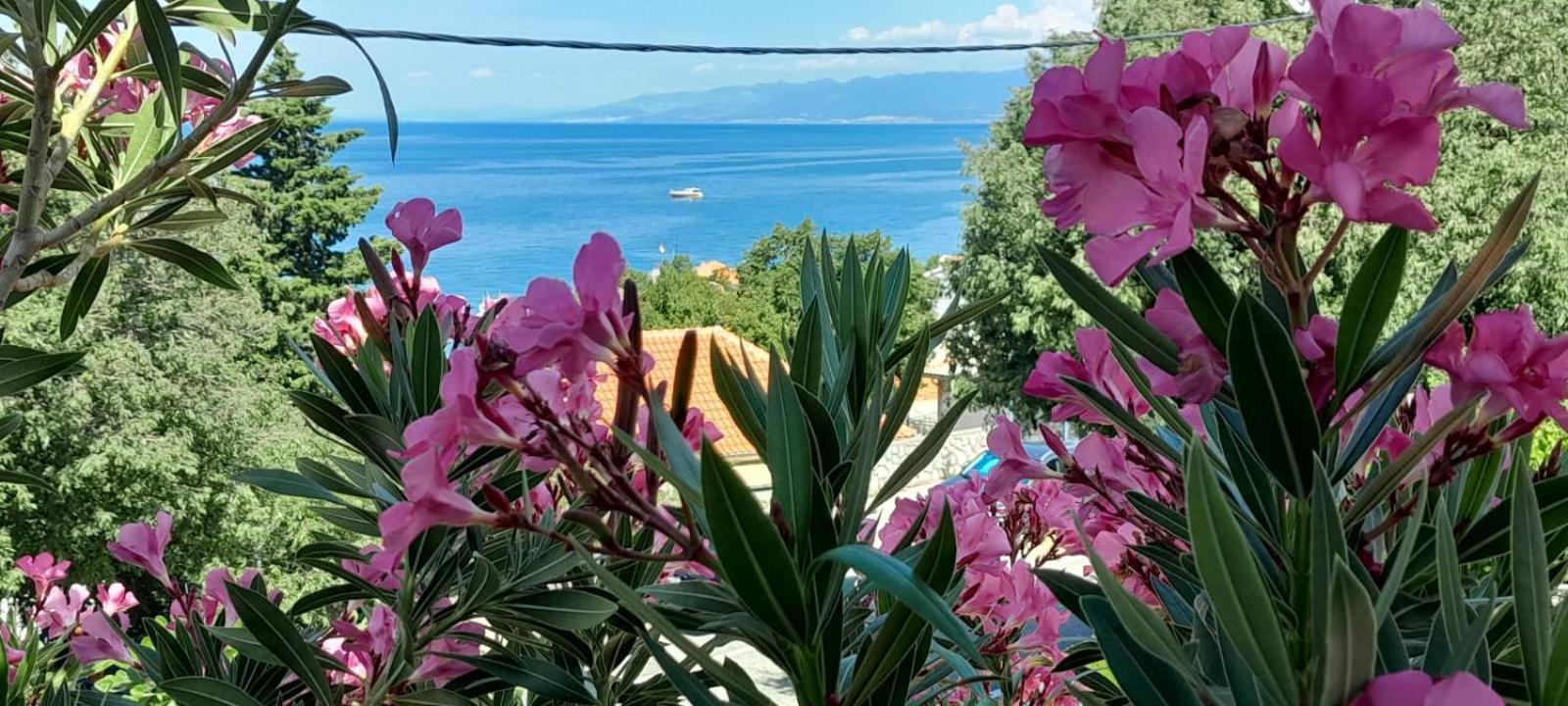 Apartment Danica Свети Юрай Екстериор снимка